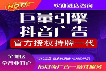 知名SEM公司案例分析：优化策略与成果